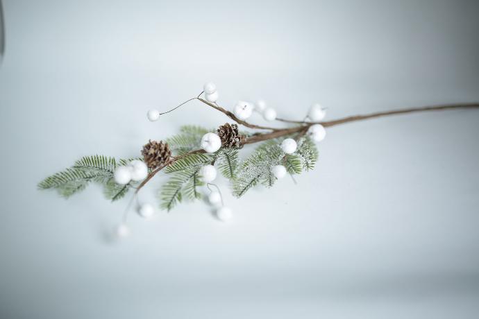 Branche de Noël naturel pin 